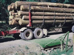 heavy-duty cattle guard with a logging truck crossing it