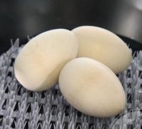 wooden chicken eggs