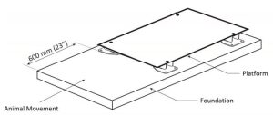 load bar set up diagram