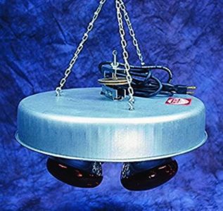 Four Bulb Hanging Heat Lamp