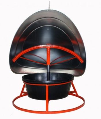 front of sheep mineral feeder