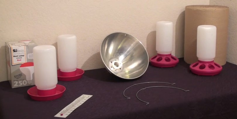 Poultry Starter Kit full setup image