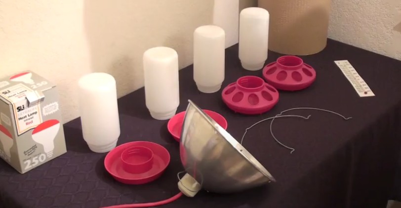 Poultry starter kit components